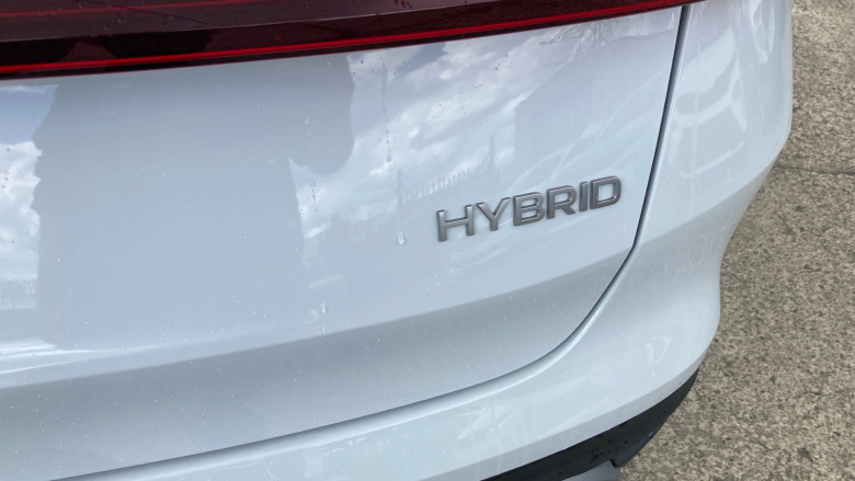 Skoda Kodiaq 1.5 TSI e-TEC SE L 5dr DSG [7 Seat] Petrol Estate